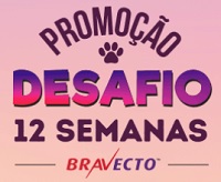 www.12semanas.com.br, Desafio 12 semanas Bravecto 2018