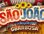 www.gbarbosa.com.br/saojoao, Promoção São João GBarbosa