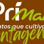 Promoção Aniversário Primato 2024 - 37 Anos